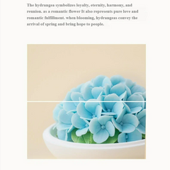 Handmade ceramic hydrangea aromatherapy diffuser + teapot